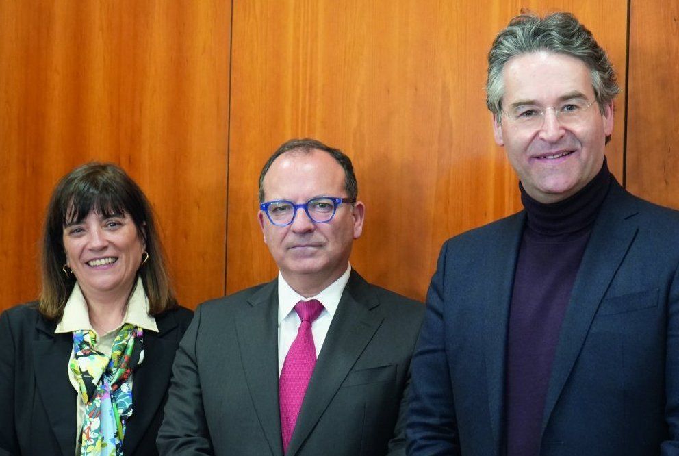 Members of the Board of Directors of STCP